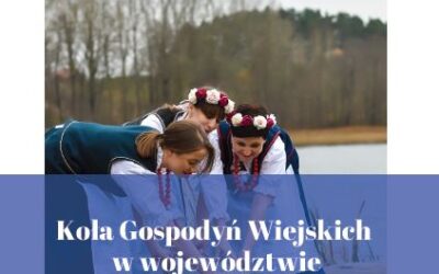 Koła Gospodyń Wiejskich w województwie warmińsko-mazurskim – Raport z badań –